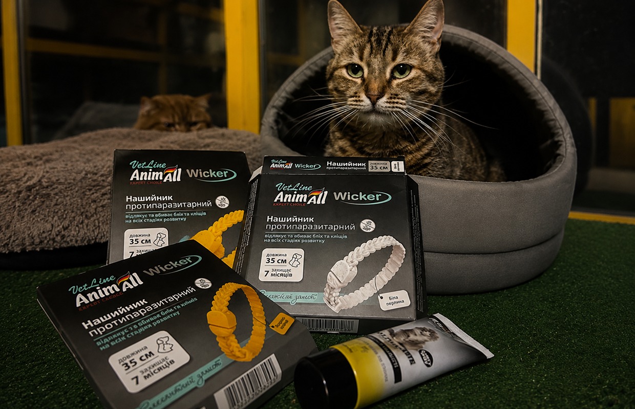 Together for Life: How AnimAll Supports Animals in Frontline Regions