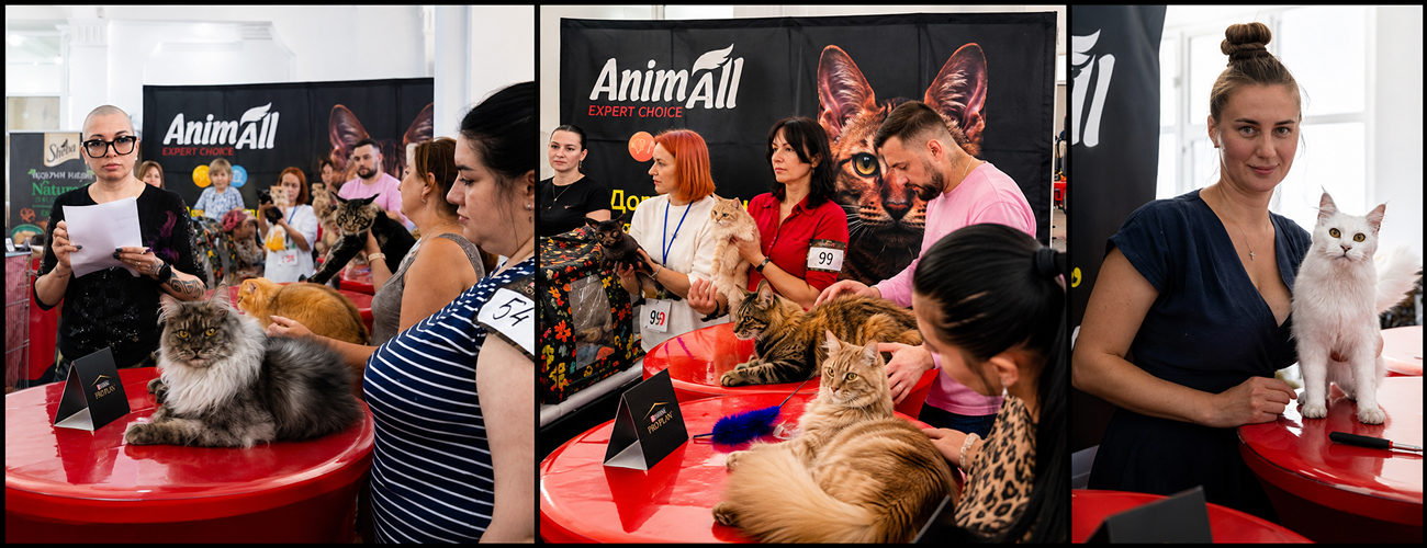 The AnimAll Team at the WCF CAT CLUB SELINA 2026 International Cat Show