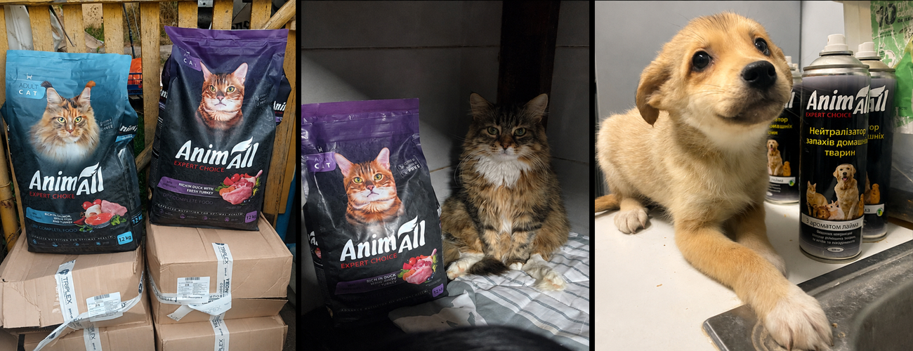 За кожним хвостом – життя: як AnimAll несе турботу туди, де вона найпотрібніша