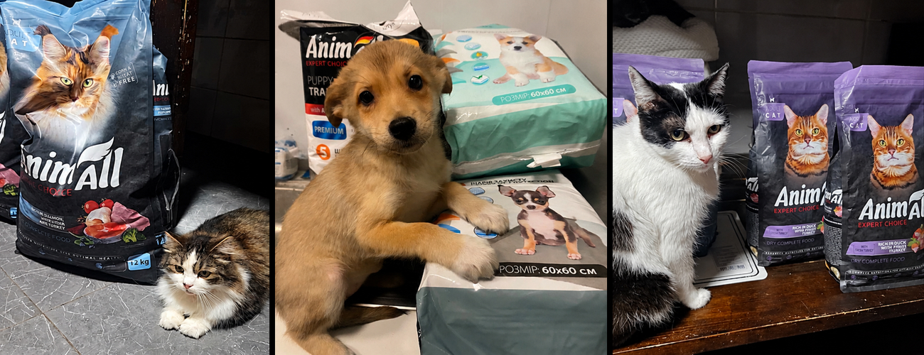 За кожним хвостом – життя: як AnimAll несе турботу туди, де вона найпотрібніша