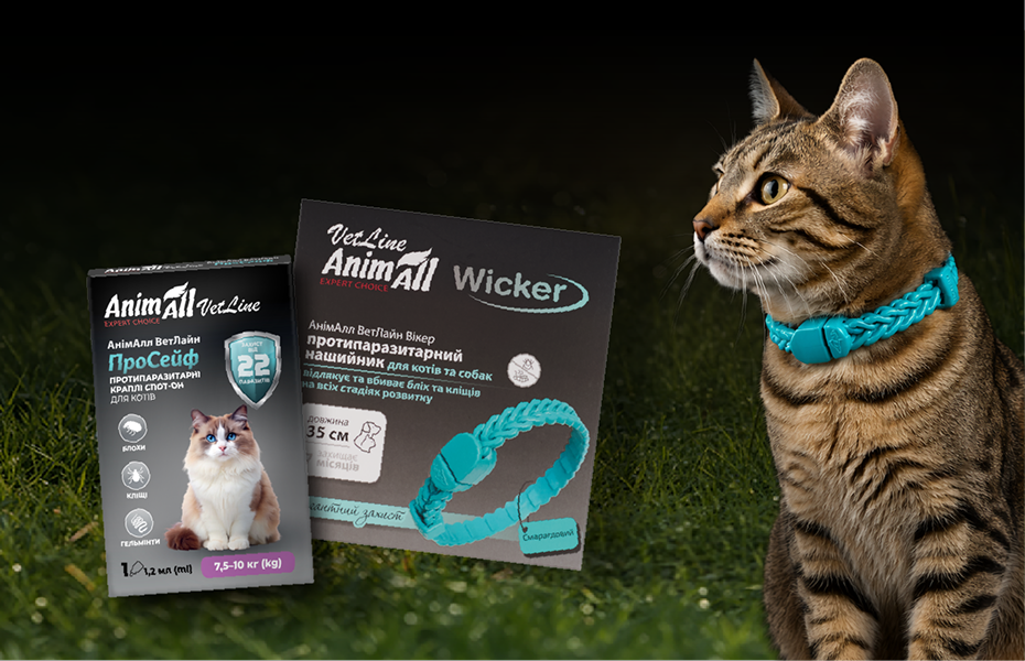 Treating Cats for Parasites: How to Protect Your Cat from Fleas and Ticks in the Spring