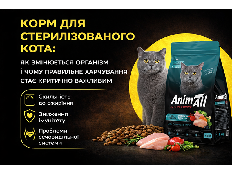 Food for neutered cats: why nutrition is so important